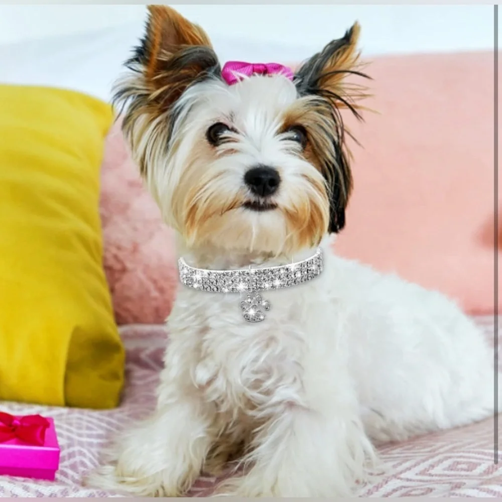Gorgeous Bling Dog Cat Collar